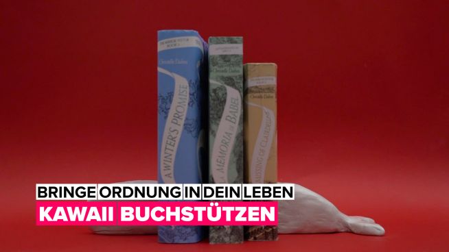 Bringe Ordnung in dein Leben: Kawaii Buchstützen