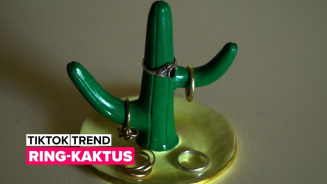 TikTok Trend: Ring-Kaktus