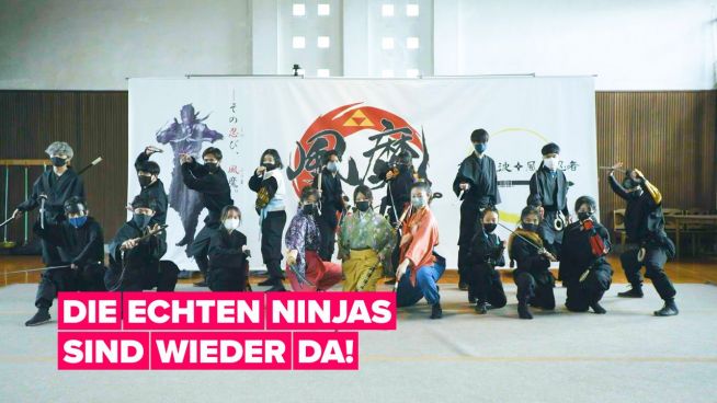 Die Ninjas sind zurück!