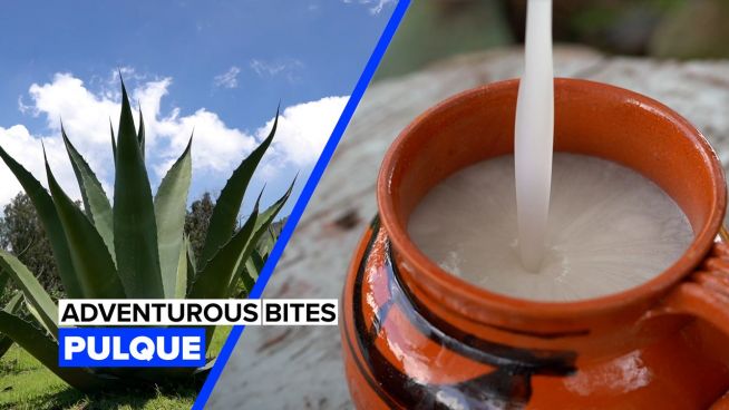 Adventurous bites: Pulque