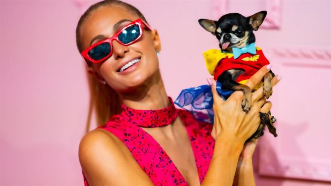 Paris Hilton mit Hund auf Fashionweek